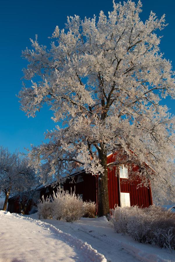 Prostgarden Bed & Breakfast Sunne Bagian luar foto
